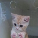 아이피씨 이미지