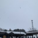 흰그림자 소규모 비에이투어 - 24.1.30에 다녀옴! +투어 꿀팁,‘그림자’가이드님 최고!