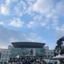 그린체육관 | 2025 미세스 그린 애플 내한 콘서트 후기 고려대 화정체육관 스탠딩 시야 청사과 밴드