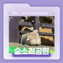 로아팜 | 거제 양/토끼도 있고 모노레일도 탈 수 있는 곳! - 숲소리 공원 후기!