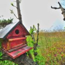 단드레산방 이미지