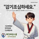 예건태권스쿨 이미지