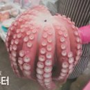 송송구이 이미지