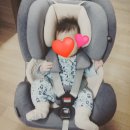 라온카센터 | 순성 라온 카시트 후기