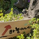 하늘이네 | 서귀포펜션 추천! 예뜰 하늘이네 솔직후기｜가족여행으로 선택한 이유