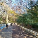 우장산둘레길 | 양천구 트레킹 등산 코스 산책하기 좋은 우장산 둘레길