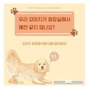 괜찮아동물병원 이미지