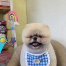 살롱드 베베 이미지