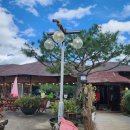 휘닉스 골프연습장 1 이미지