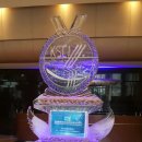 디티코리아 이미지