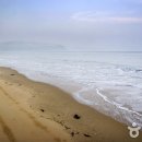 신지명사십리해수욕장 이미지