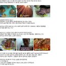 부천-중동-부천-011 이미지