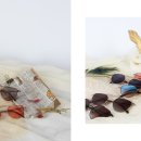 아이비스안경원 이미지