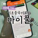 중국어회화 초급 | [마이풀] 기초중국어회화 독학 시작 후기