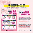 으뜸플러스안경 남양주진접점 이미지