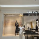 lips | 삿포로 리셀샵 브랜드 샵 립스 | LIPS | 에르메스백 구매 후기 | 가든 파티 미니 | 텍스프리 | 관세...