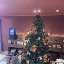 군산더사우나 | 군산여행 맨션브릿지 군산 자쿠지 숙소 내돈내산 찐 후기!!