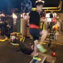 BEE BOXING GYM 이미지
