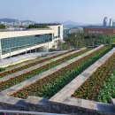 세종청사 9동 이미지