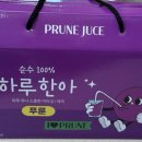 지그미선물