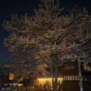 동행 공간 나누기 | 옥천펜션 추천 단체모임하기 딱 좋은 장령산 독채펜션 동행 다녀온 후기