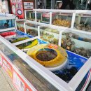 UR(목포시)-[청호로]-상-18 | 목포횟집추천 목포고기나라 목포회맛집 스끼 회 신선함에 심쿵