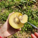 온누리의료재단 이미지