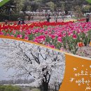 갈산공원(중간) 이미지