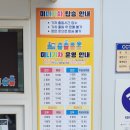 선암유치원 | 단풍 구경하기 좋은 선암호수공원