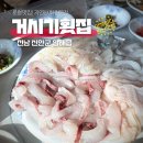 신안 압해도 자연산회 맛집 거시기횟집!