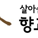 ＜한국방송뉴스＞충청북도 국가유산 속에서 즐기는 봄나들이 어때요? 이미지