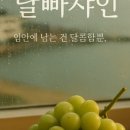 내 강아지의 봄 일산애견유치원&애견호텔 이미지