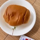 도로시파스타장안 네이버블로그