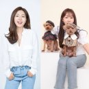 영화나무 이미지