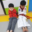 용인대 명지 태권도장 이미지