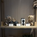 상주카클럽 | [강원도/정선] 파크로쉬 정선 웰니스 -아쿠아클럽, 로쉬카페, 편의점, 요가(웰니스 프로그램) 부대시설...