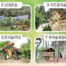 삼선산수목원 벚나무 이미지