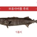 메로 이미지