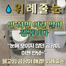 공용화장실 | 🚀 위례줄눈 시공! 센트럴자이 공용·안방 화장실부터 현관, 싱크볼까지 완벽 보수 후기
