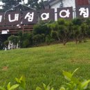 비내섬의 아침 이미지