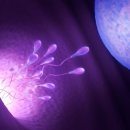 삼성킴스비뇨기과의원 | 오산시 정관수술 추천 병원 | 통증없이 진료 잘보는 병원 | 알아보기