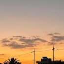 종재농장 이미지