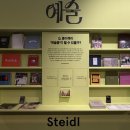서울숲팜프라자약국 | 4월 서울 _ 혜화 서촌 동대문