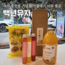 여수 여행 선물 기념품 백년유자