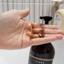 두피개선 저자극샴푸 진토테라피 진토 천연 샴푸 사용 후기