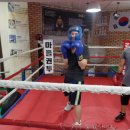 쌍룡복싱체육관 이미지