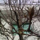 하남면사무소 이미지