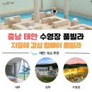 지중해 풀빌라 | [태안 대형 수영장 펜션] 지중해 감성 가득한 펄베이 풀빌라 강아지 동반 여행기