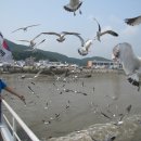 석모도자연휴양림 이미지