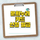 누리고속관광㈜ | 문화누리 카드, 11만 원으로 할 수 있는 건 얼마나 될까?